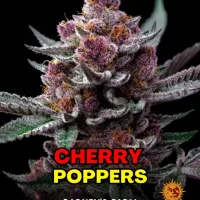Cherry Poppers